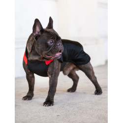 Chaba Ubranko regulowane Wear Magnifique 3XL czerwone - All4Animals