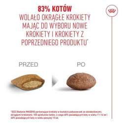 Royal Canin Ageing +11 karma sucha dla kotów dojrzałych 2kg - All4Animals