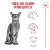Royal Canin Fussy Exigent karma sucha dla kotów dorosłych, wybrednych 2kg - All4Animals