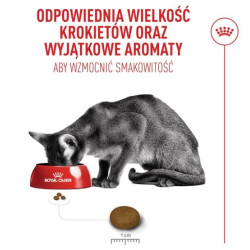 Royal Canin Fussy Exigent karma sucha dla kotów dorosłych, wybrednych 400g - All4Animals