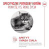 Royal Canin Ageing +15 karma sucha dla kotów dojrzałych 400g - All4Animals