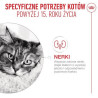 Royal Canin Ageing +15 karma sucha dla kotów dojrzałych 400g - All4Animals