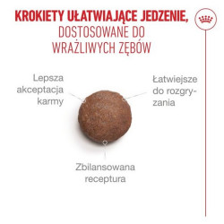 Royal Canin Ageing +15 karma sucha dla kotów dojrzałych 400g - All4Animals
