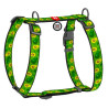 Collar WauDog Nylon Szelki nylonowe anatomiczne w kształcie litery H, z QR-paszportem, plastikowy fastex, wzór AWOKADO, rozmiar 