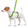 Collar WauDog Nylon Szelki nylonowe anatomiczne w kształcie litery H, z QR-paszportem, plastikowy fastex, wzór AWOKADO, rozmiar 