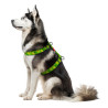 Collar WauDog Nylon Szelki nylonowe anatomiczne w kształcie litery H, z QR-paszportem, plastikowy fastex, wzór AWOKADO, rozmiar 