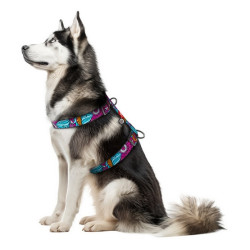 Collar WauDog Nylon Szelki nylonowe anatomiczne w kształcie litery H, z QR-paszportem, plastikowy fastex, wzór LATO, rozmiar XL 