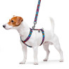 Collar WauDog Nylon Szelki nylonowe anatomiczne w kształcie litery H, z QR-paszportem, plastikowy fastex, wzór LATO, rozmiar M 2