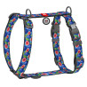 Collar WauDog Nylon Szelki nylonowe anatomiczne w kształcie litery H, z QR-paszportem, plastikowy fastex, wzór FIGA, rozmiar M 2