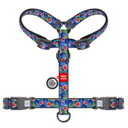 Collar WauDog Nylon Szelki nylonowe anatomiczne w kształcie litery H, z QR-paszportem, plastikowy fastex, wzór FIGA, rozmiar M 2