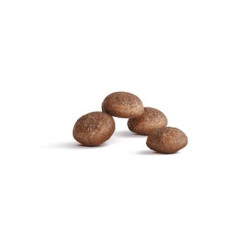 Royal Canin Ageing +11 karma sucha dla kotów dojrzałych 4kg - All4Animals