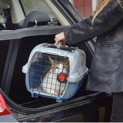 Ferplast Atlas Deluxe 20 Open - transporter z otwieranym sufitem srebrno-niebieski - All4Animals