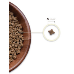 Acana Highest Protein Kitten 1,8kg - All4Animals