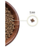 Acana Highest Protein Kitten 1,8kg - All4Animals