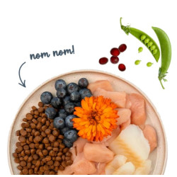 Sanabelle Adult Forelle - z pstrągiem 2kg - All4Animals