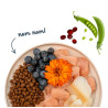 Sanabelle Adult Forelle - z pstrągiem 2kg - All4Animals
