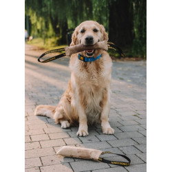 Dingo Zabawka dla psa - Szarpak z juty z uchwytem 60/8cm - All4Animals