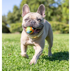 Chuckit! Eco Fetch Ball Small 2pak - All4Animals