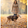 Zolux Kurtka w kratę dla psa Cheverny R.45 brązowa - All4Animals