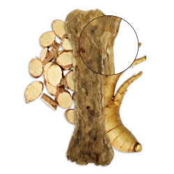 BUBAlicious Kość Puppy & Senior z jagnieciną żeń-szeniem 17cm - All4Animals