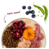 Sanabelle Indoor 400g - All4Animals