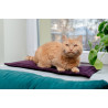 MIMIKO Pets Mata Velvet 25x70cm śliwka - All4Animals