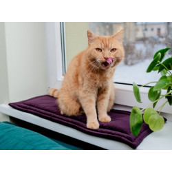 MIMIKO Pets Mata Velvet 25x70cm śliwka - All4Animals