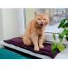 MIMIKO Pets Mata Velvet 25x70cm śliwka - All4Animals