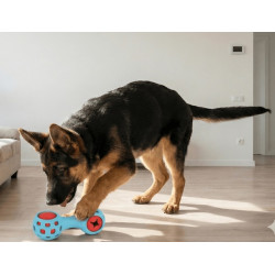 Zolux Zabawka na przysmaki gryzak hantel 13cm - All4Animals