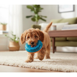 Zolux Zabawka do aportowania donut Tao 8,5cm - All4Animals