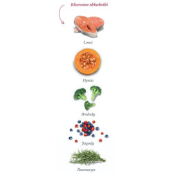 Amanova Dog Puppy  Sensitive Salmon Deluxe - łosoś 7kg - All4Animals