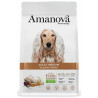 Amanova Dog Adult Medium Exquisite Chicken - kurczak 2kg - All4Animals