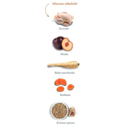 Amanova Dog Adult Medium Exquisite Chicken - kurczak 2kg - All4Animals