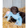 Zolux Zabawka pluszowa Furry Farm Osioł Hassan 60cm - All4Animals