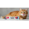 Zolux Sweeties Kremowy przysmak dla kota - tuńczyk 14g - All4Animals