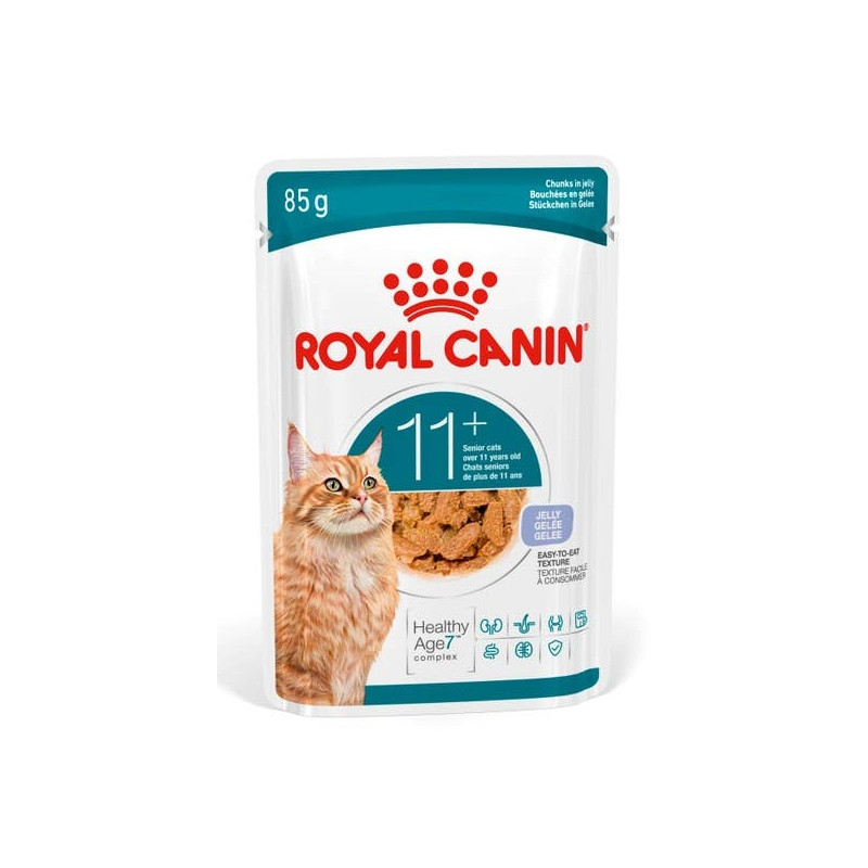 Royal Canin Ageing +11 karma mokra dla kotów dojrzałych w galaretce saszetka 85g - All4Animals