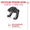 Royal Canin Ageing +11 karma mokra dla kotów dojrzałych w galaretce saszetka 85g - All4Animals