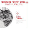 Royal Canin Ageing +11 karma mokra dla kotów dojrzałych w sosie saszetka 85g - All4Animals
