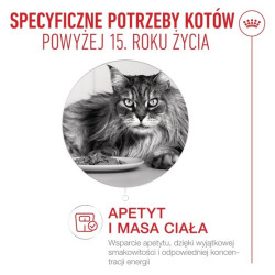 Royal Canin Ageing +15 karma mokra dla kotów dojrzałych w sosie saszetka 85g - All4Animals