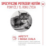 Royal Canin Ageing +15 karma mokra dla kotów dojrzałych w sosie saszetka 85g - All4Animals