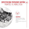 Royal Canin Ageing +15 karma mokra dla kotów dojrzałych w sosie saszetka 85g - All4Animals
