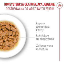 Royal Canin Ageing +15 karma mokra dla kotów dojrzałych w sosie saszetka 85g - All4Animals