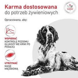 Royal Canin Veterinary Diet Canine Glycobalance Low Carbohydrate Loaf puszka 410g - All4Animals