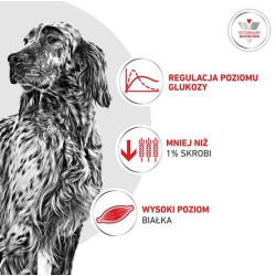 Royal Canin Veterinary Diet Canine Glycobalance Low Carbohydrate Loaf puszka 410g - All4Animals