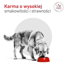 Royal Canin Veterinary Diet Canine Glycobalance Low Carbohydrate Loaf puszka 410g - All4Animals