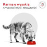 Royal Canin Veterinary Diet Canine Glycobalance Low Carbohydrate Loaf puszka 410g - All4Animals