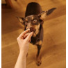 Carnilove Dog Soft Snack Duck 200g - All4Animals
